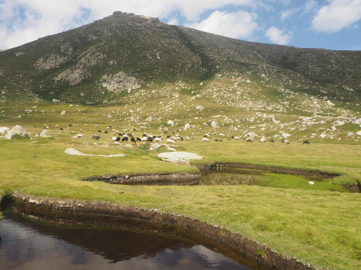 Belvedere De Sartene Dış mekan fotoğraf